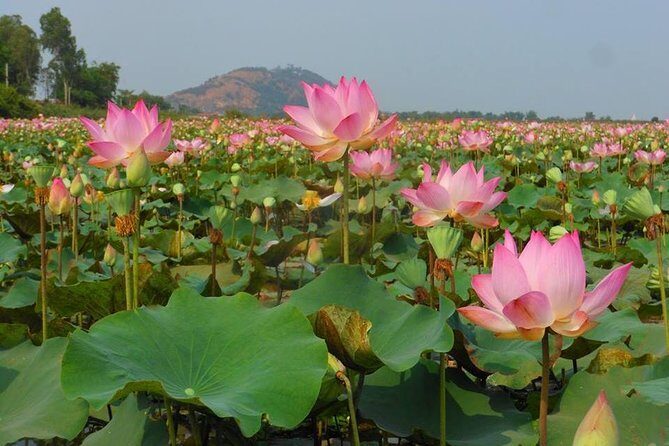2-Day Angkor Wat Tour from Bangkok - Angkor Wat Sunrise: How to Make the Morning Worth It