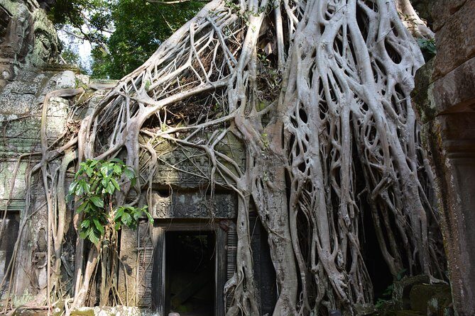 2-Day Angkor Wat Tour from Bangkok - Price and Value: What $390 Buys You Here