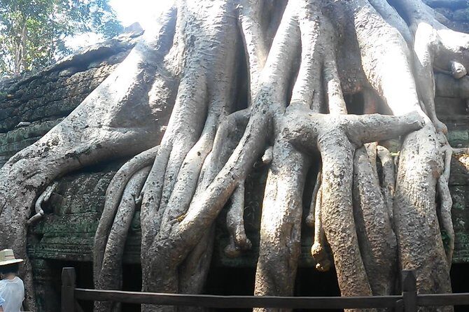 Angkor Wat 3-Day Tour from Bangkok - Guides and English: when it flows, it’s excellent; when it doesn’t, it’s harder