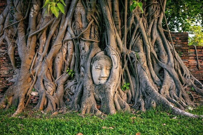 Ayutthaya Bicycle Tour with Scenic Boat Experience - Tuk-Tuk to the Pier: The Smooth Transition From Bikes to Boat