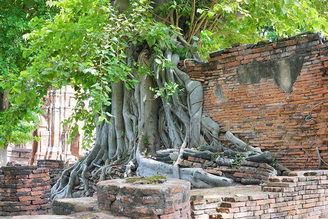 Ayutthaya Evening Tour with Dinner - Elephant Kraal Pavilion (Phaniat): a shift from temple ruins