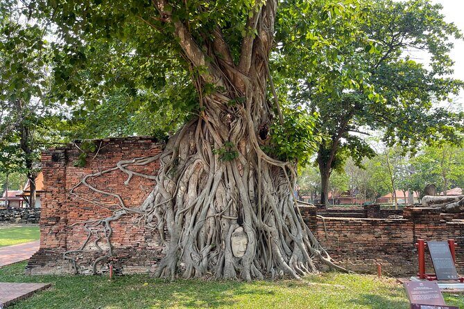 Ayutthaya Historical Old Capital day Tour from Bangkok - Lunch in the market area: refuel without losing momentum