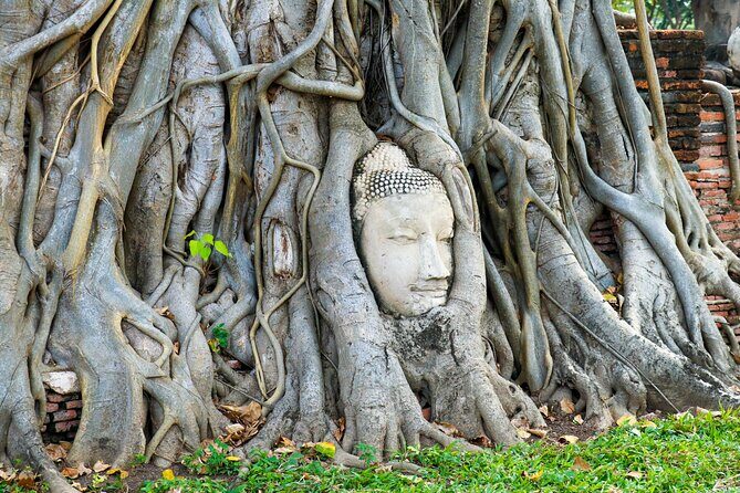 Ayutthaya Summer Palace and Temples Day Tour from Bangkok - Why This Ayutthaya Day Tour Works From Bangkok