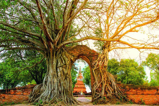 Ayutthaya Sunset Boat & UNESCO Temples: Multi-language private tour from Bangkok - Wat Chaiwatthanaram: The 1630 Temple Built to Honor a Mother
