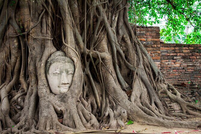 Ayutthaya Sunset Tour: UNESCO Temples & Peaceful River Cruise - Price and value: what $52 buys you (and why it can still be a bargain)