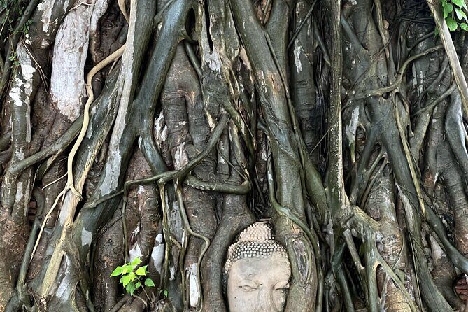 Ayutthaya’s Hidden Gems: Small Group Tour with Car & Local Guide - Lunch by a Lotus Pond at Ayutthaya Retreat