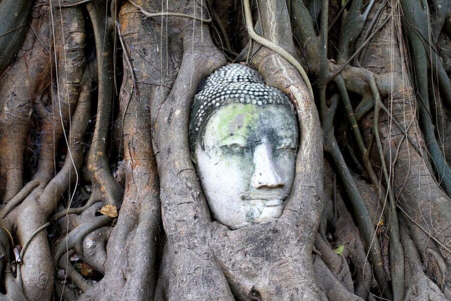 Bangkok: Audio guides for Bangkok, Ayutthaya & Chiang Mai - Chiang Mai: Wat Phra Singh, Wat Chedi Luang, Wat Doi Suthep—and context you can use