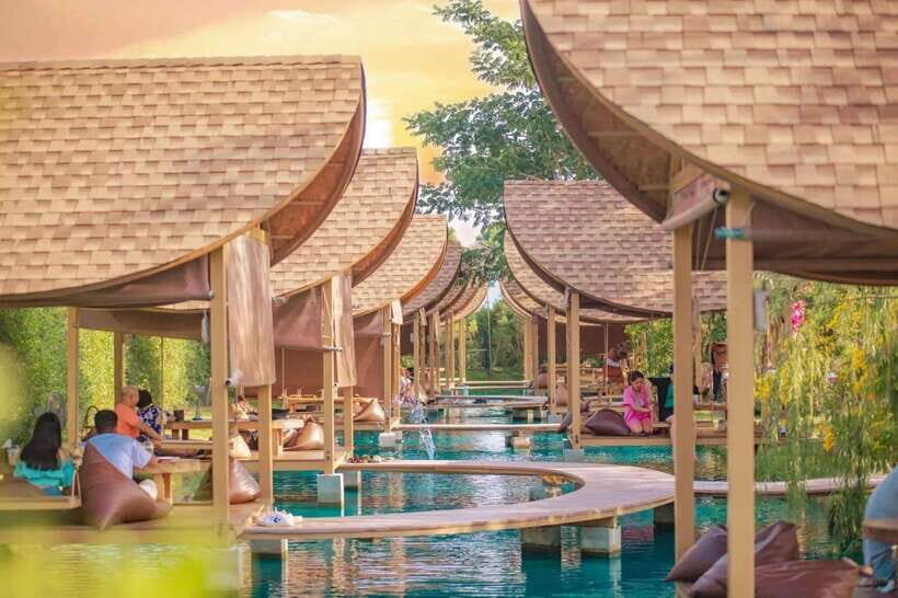 Bangkok: Bubble in the Forest Cafe Photography Journey - Key Points You’ll Actually Care About
