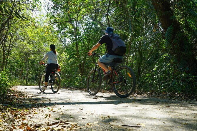 Bangkok Green Oasis Nature Bike Tour - What $56.14 gets you (and why it’s good value)