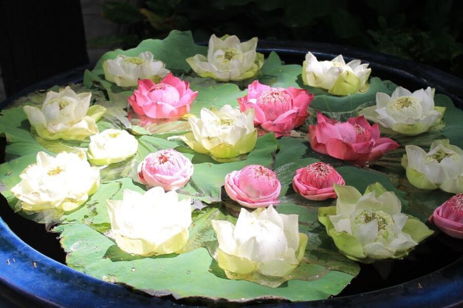 Bangkok: Jim Thompson House and Baan Krua Community Tour - Should you book this Bangkok silk tour?