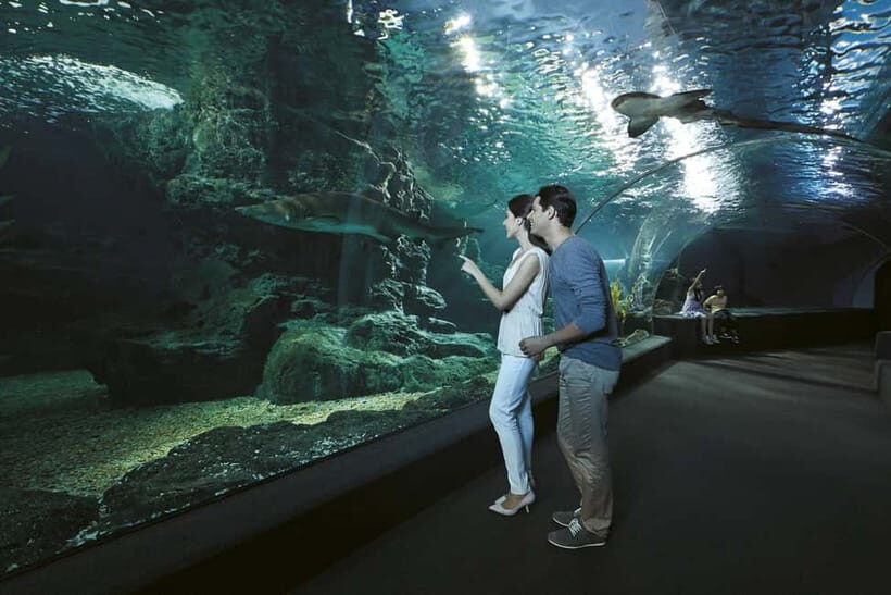 Bangkok: SEA LIFE Bangkok & Madame Tussauds Entry Ticket - Key things that make this ticket worth it