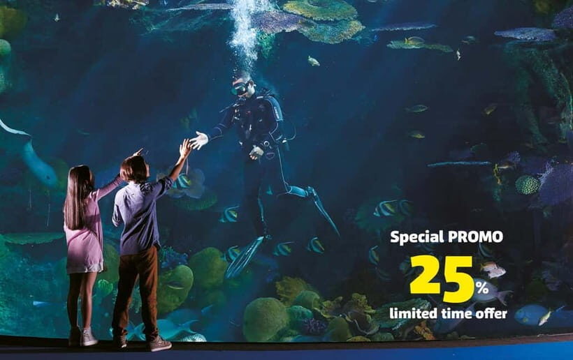 Bangkok: SEA LIFE Bangkok Ocean World Entry Ticket - Key things to know before you go
