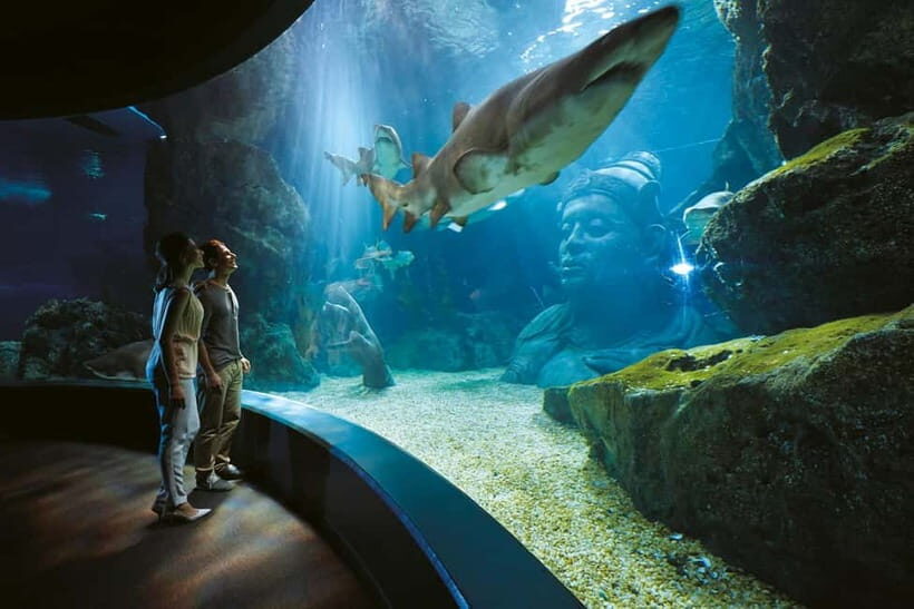 Bangkok: SEA LIFE Bangkok Ocean World Entry Ticket - Siam Paragon location: where the aquarium fits into your day