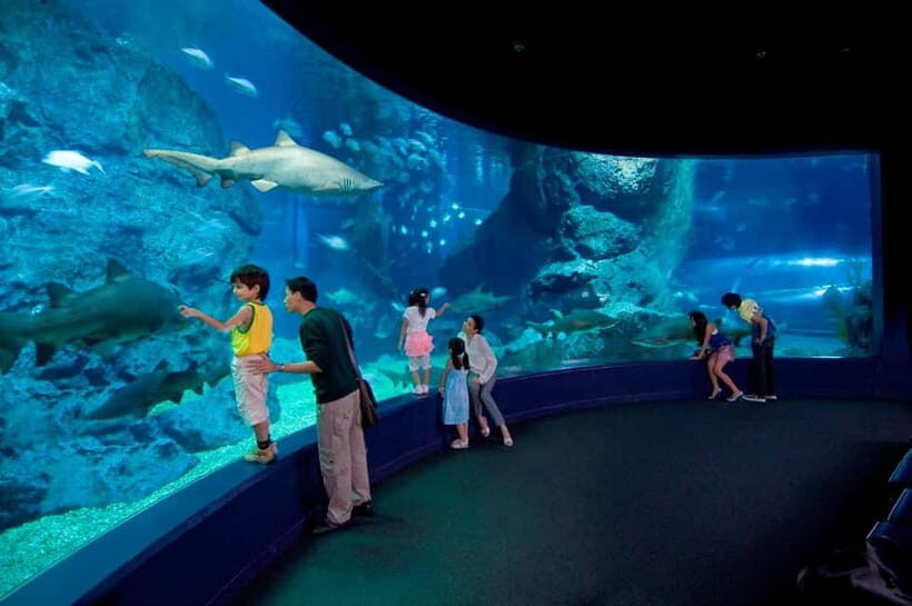 Bangkok: SEA LIFE Bangkok Ocean World Entry Ticket - Touch pools, 4D cinema, and interactive learning stops