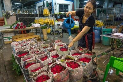 Bangkok Selfie Expert Tour: Little India, Wat Traimit & Wat Pho - Pickup windows, group size, and temple dress rules