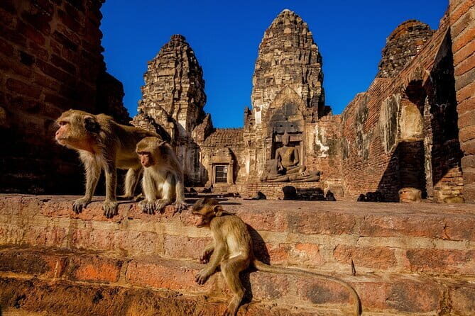 Bangkok to Ayutthaya Lopburi Monkey Temple, Largest Buddha Tour - Key highlights worth your time