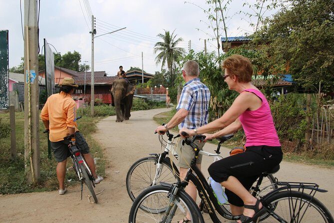 Colors of Ayutthaya Full-Day Bike Tour - Wat Lokayasutharam: a big ruin with restored details