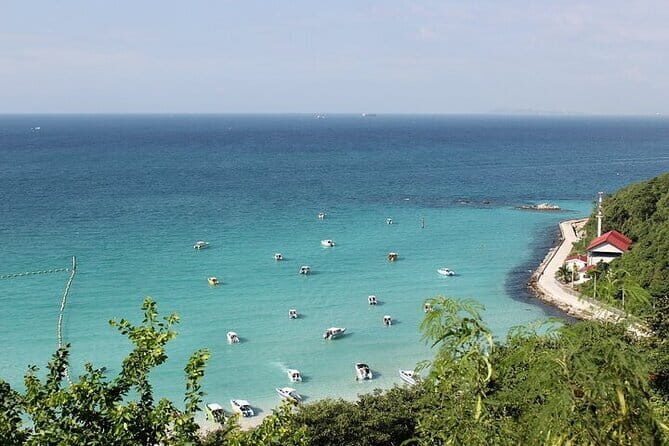 Coral Island Tour and Water Activities with Meal in Pattaya - Price, timing, and what a $25 day trip really buys