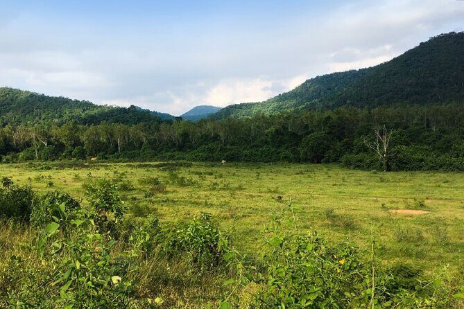 Elephant and Animal Watching in Kuiburi National Park - Join Afternoon Tour - Kuiburi elephant watching from Hua Hin: what kind of safari this really is