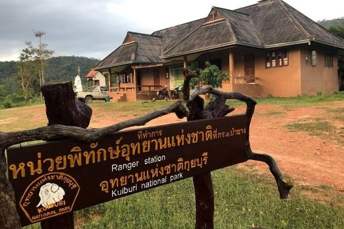 Elephant and Wildlife Watching in Kuiburi National Park - Private Afternoon Tour - How to Improve Your Odds (Without Making It Weird)