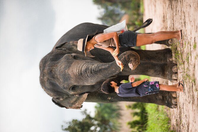 Elephant Jungle Sanctuary: Half Day Morning Program - Elephant Jungle Sanctuary Morning in Pattaya: the feel-good half-day