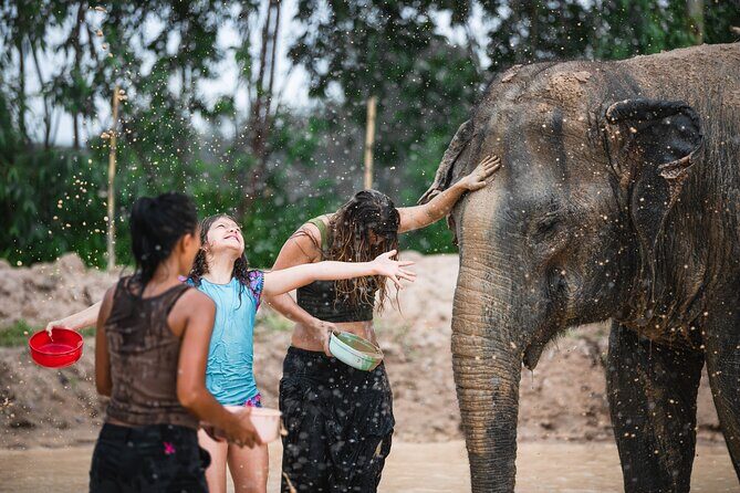 Elephant Jungle Sanctuary: Half Day Morning Program - Lunch in late morning: tasty Thai food, plan for timing and bugs