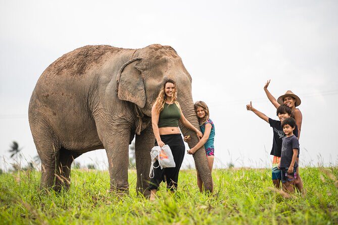 Elephant Jungle Sanctuary: Half Day Morning Program - Ethical elephant interaction: what makes it feel different