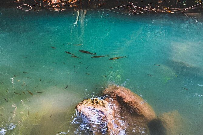 Erawan Waterfall and Elephant Care: Private Tour to Kanchanabur - Erawan Waterfall: swimming the seven levels and choosing your limits