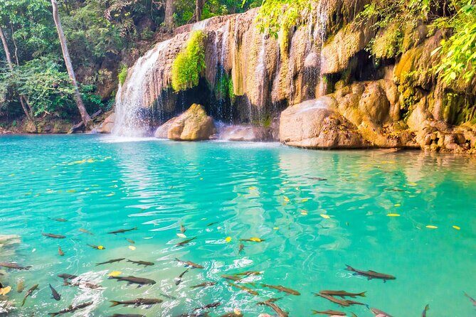 Erawan Waterfall and Elephant Care: Private Tour to Kanchanabur - Kanchanaburi elephant sanctuary: rescued elephants and hands-on daily care
