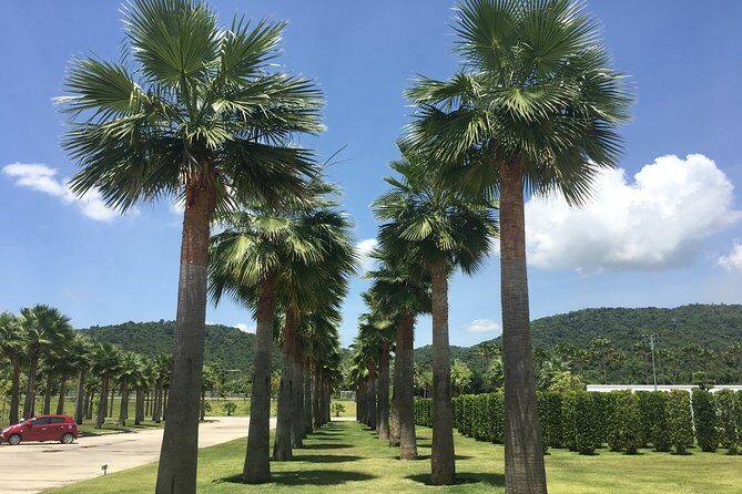 Explore Hua Hin and Surroundings with Private Guide for half day - Lunch and Water: The Small Inclusion That Makes a Big Difference