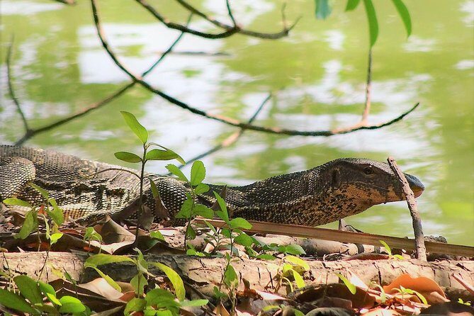 Family Bicycle Tour in the Green Oasis of Bangkok on Bamboo bikes - Lunch and drinks on return: the easy Thai meal plan