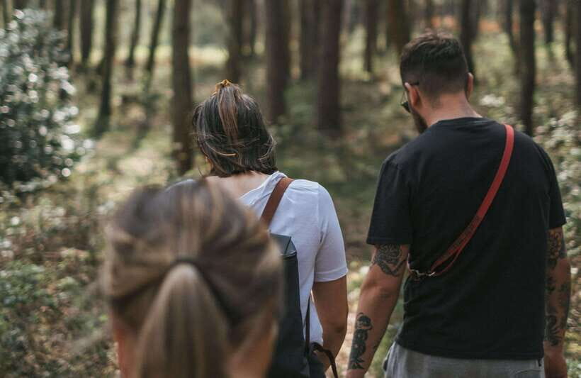 From Bangkok: Khao Yai National Park Small-Group Day Trip - Haew Suwat Waterfall: great photos, but season controls the show