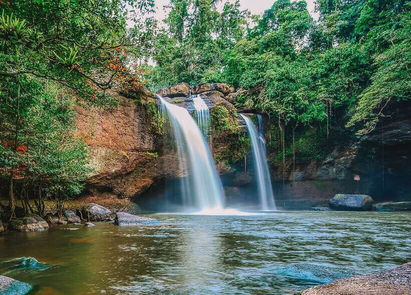 From Bangkok: Khao Yai National Park Small-Group Day Trip - Lam Ta Khong Campsite: the deer factor you didn’t plan for