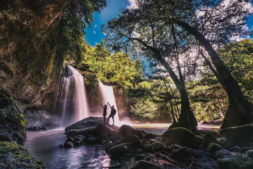 From Bangkok: Khao Yai National Park Small-Group Day Trip - The Nong Phak Chi Trail at KM 33: walking into real habitat