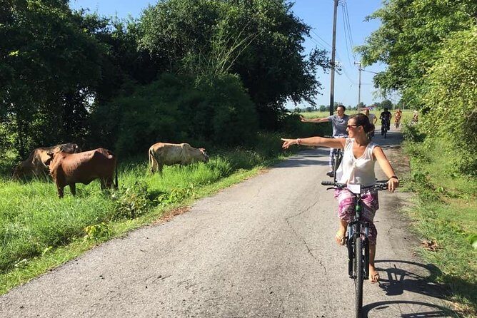 Full Day Cycling tour to Sukhothai Historical Park - Transfers that keep the day from turning into logistics