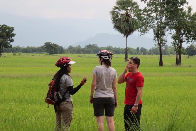 Full Day Cycling tour to Sukhothai Historical Park - Tickets, bike, guide: where the $53.78 price feels fair