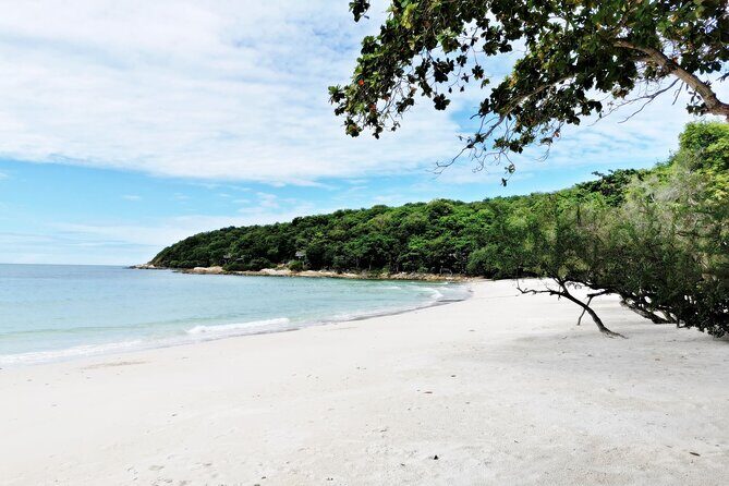 Full-Day on Koh Samet from Pattaya - The full flow: pickup, pier, speedboat, island, return