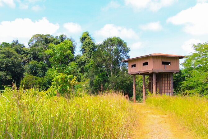 Khao Yai National Park Full Day - Pickup and Drop-Off Logistics: Start at BTS, End at MBK