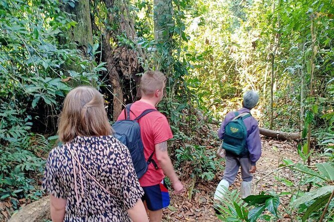 Khao Yai National Park Full Day - Haew Narok Waterfall: Tall Cascade, Steep Work, Big Views