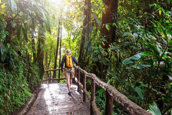 Khao Yai National Park Full-Day From Bangkok - Including Ticket - Why Khao Yai Feels Like a Real Escape From Bangkok