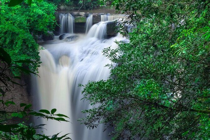 Khao Yai National Park Full-Day From Bangkok - Including Ticket - Khao Yai National Park Walk: Trees, Birds, and Wildlife Signs