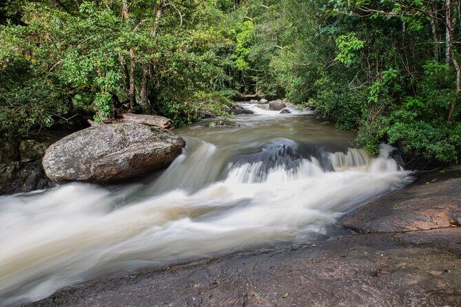 Khao Yai National Park Full-Day From Bangkok - Including Ticket - Food, Gear, and Staying Comfortable in Humidity and Mud