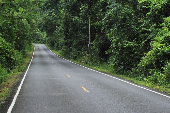 Khao Yai National Park Full-Day From Bangkok - Including Ticket - Value and Who This Works Best For