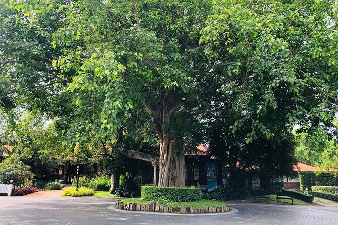Khao Yai Private tour from Bangkok - Price and value: what $77.82 gets you, and what it doesn’t