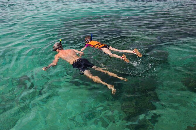 Koh Talu Full Day Shared Experience with Lunch - The Jungle Trek: Orchids, Butterflies, and Getting Your Land Legs