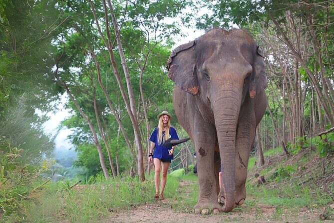 Living Green Elephant Sanctuary Tour from Bangkok and Pattaya - Key highlights worth your attention