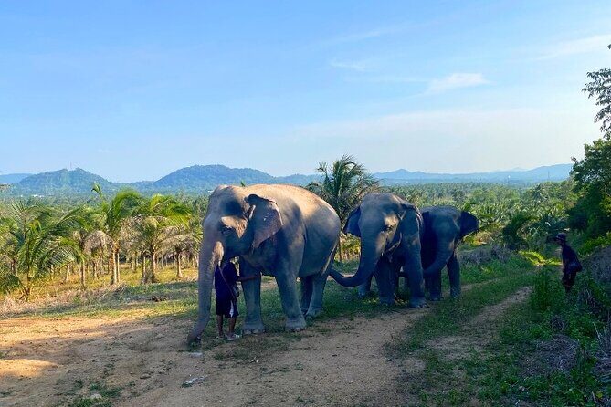 Living Green Elephant Sanctuary Tour from Bangkok and Pattaya - Should you book Living Green today?