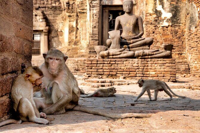 Lopburi Monkey Temple & Ayutthaya Old City Tour From Bangkok - A full-day Ayutthaya plus Lopburi mix (and why it’s worth the time)