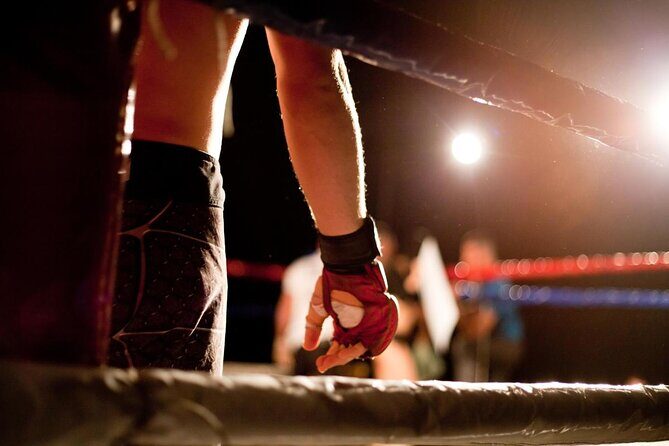Muay Thai Boxing Show with Ringside Seats at Rajadamnern Stadium - Key Things You’ll Notice at Rajadamnern