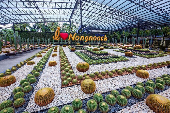 Nong Nooch Tropical Garden Ticket in Pattaya - Lunch, food options, and when to expect a buffet